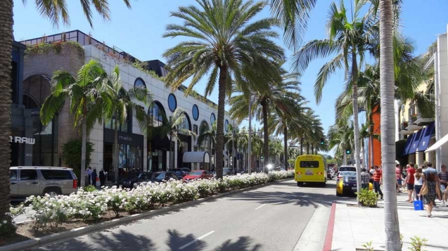 Sunshine and palm trees adorn Rodeo Drive in Los Angeles