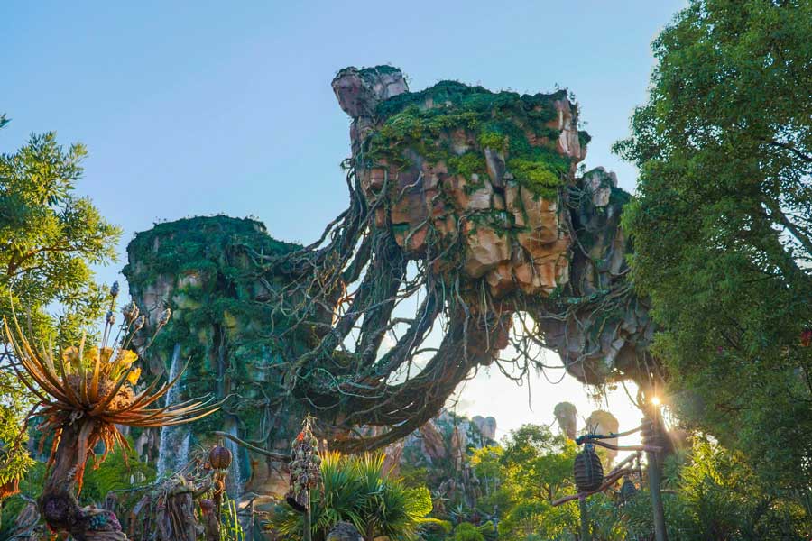Disney World Animal Kingdom Pandora area