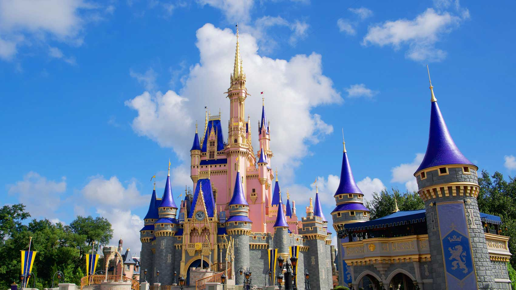Disney World review for family first visit