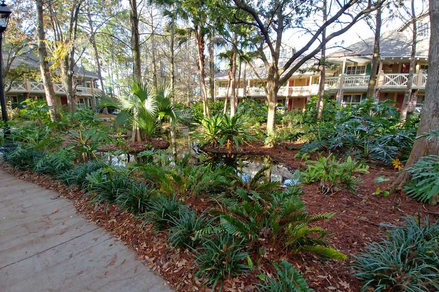 Disney World Port Orleans Riverside Resort Alligator Bayou